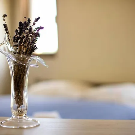 Konukevi Terra D'oriente