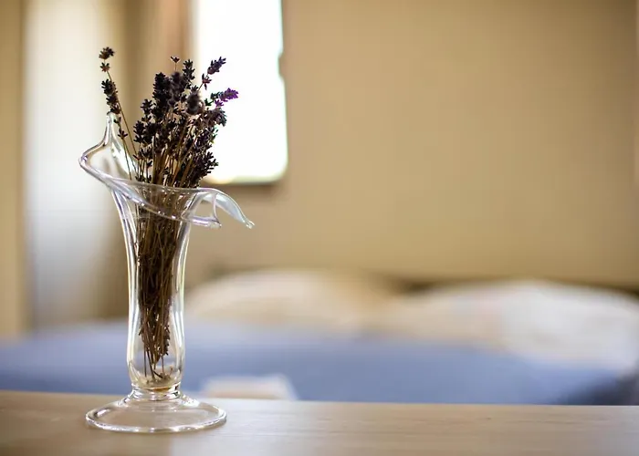 Guest house Terra D'oriente